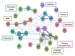 Psychometric Network of Reading Comprehension