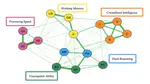 Psychometric Network Model of Intelligence